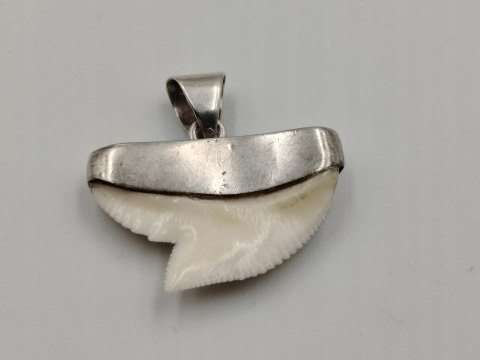 Stary srebrny damski wisiorek/zawieszka z zęba REKINA - VINTAGE biżuteria
